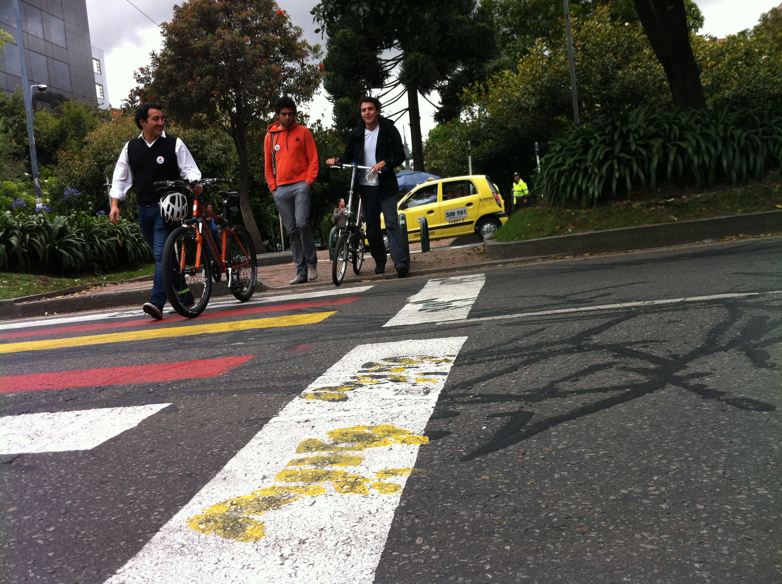 Cruzando Cebra-Diego, JP y Martín Cebra de Colores pintada por grupo de ciudadanos -combo2600-