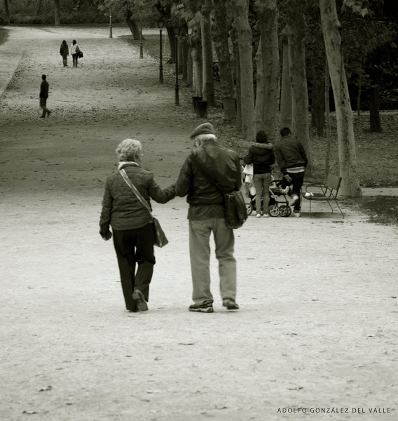 Fuente: http://nostrommo.blogspot.com/2011/11/tu-me-odias-no.html